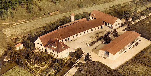 首页- Z6官网中国区人生就是博